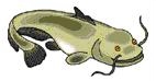 catfish