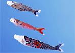 koinobori