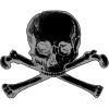 Skull and Crossbones