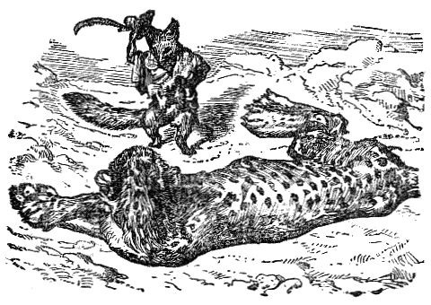 Aesop's Fables 189 The Leopard and the Fox
